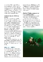 50994_5_5.webp